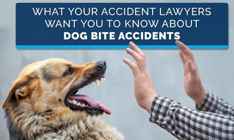 Personal Injury Lawyers, Ottawa - Legal Advice for Dog Bites