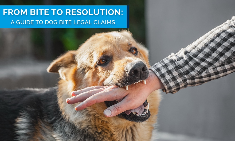 Personal Injury Law Inner Dog Bite